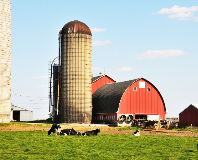 farm